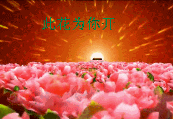 早上好