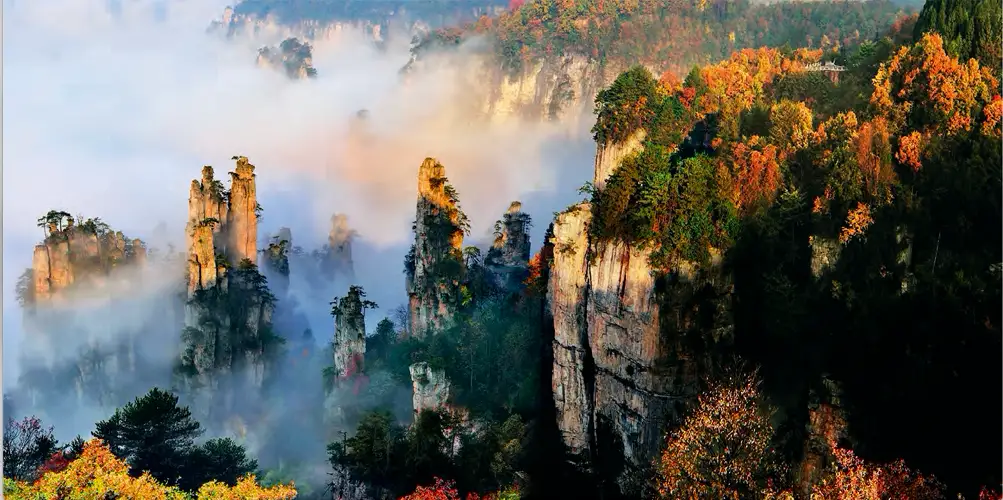 山