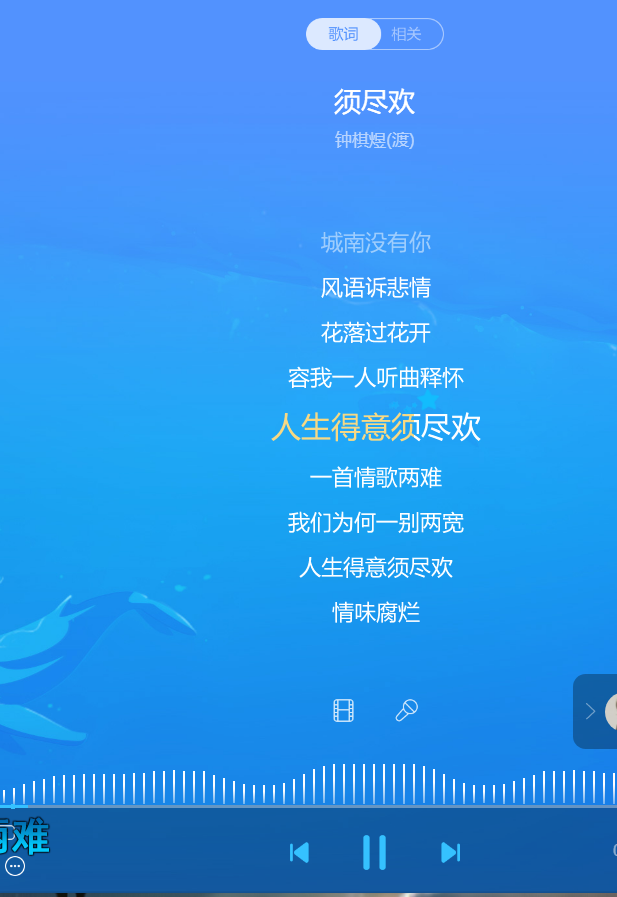 喵了个大咪
