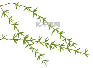 燕子