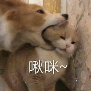 。！