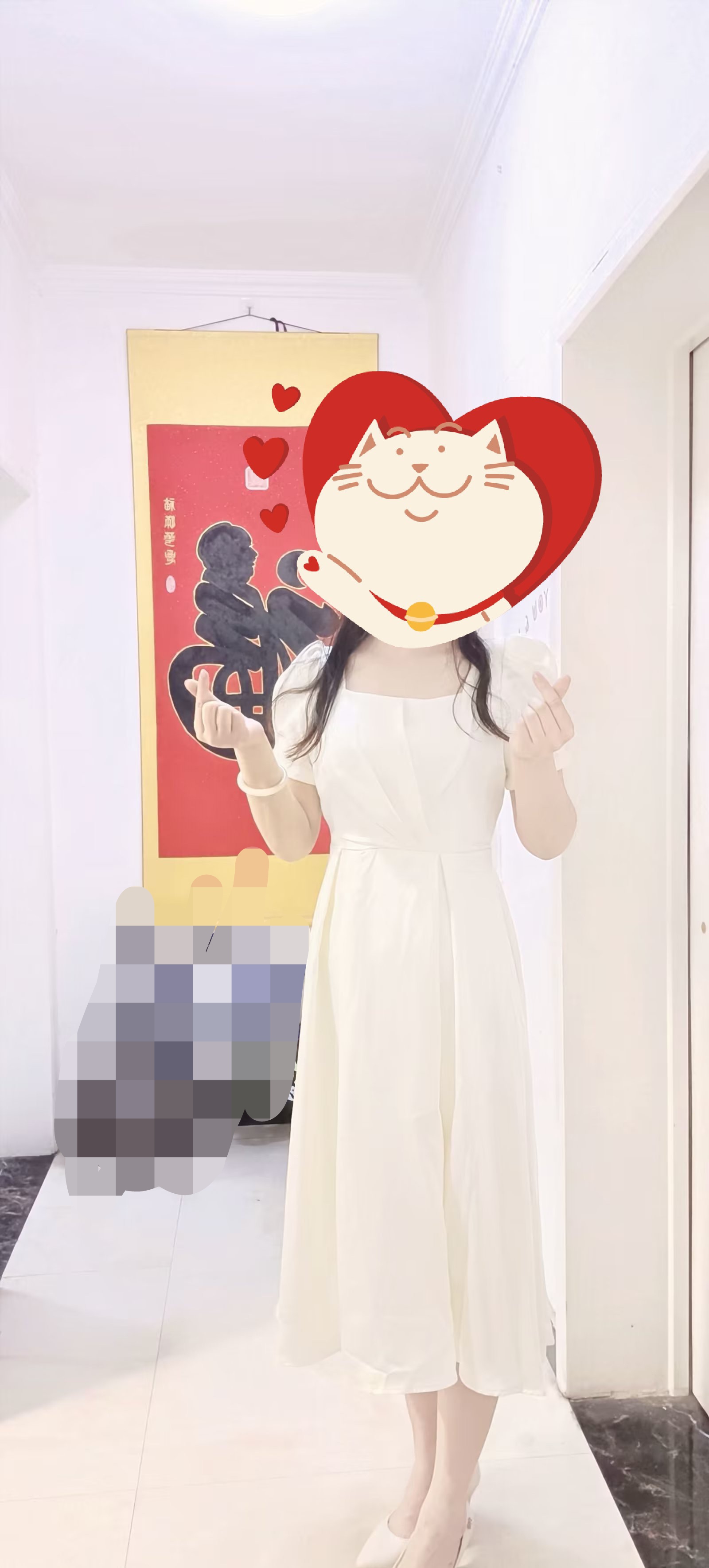 懒猫