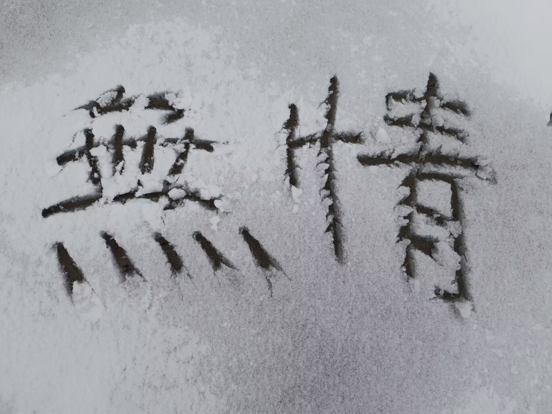 。。