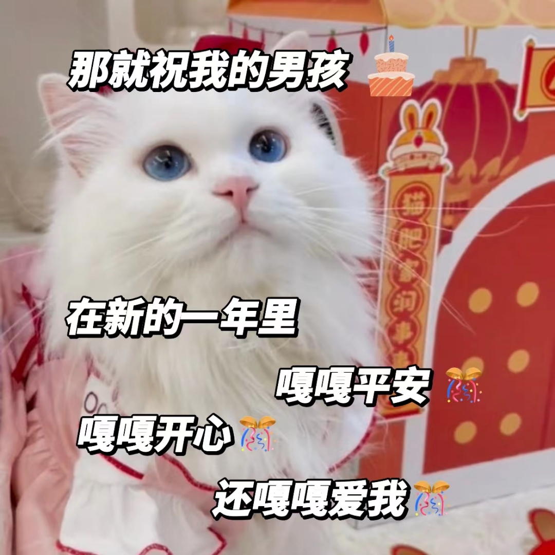 嘎嘎爱你
