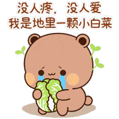 小白菜