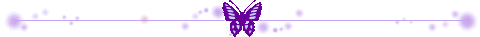 蝴蝶
