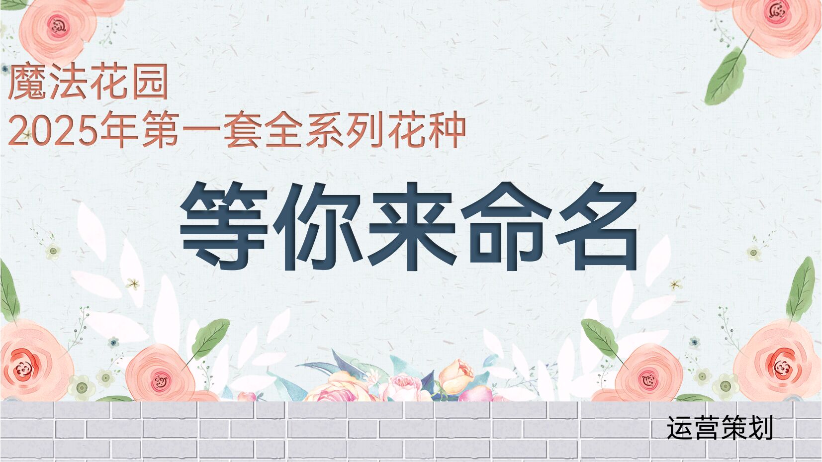 命名奇想
