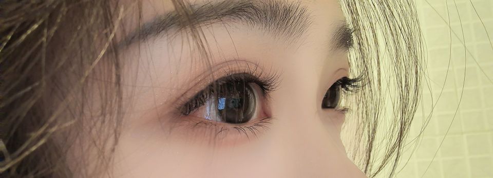 睫毛