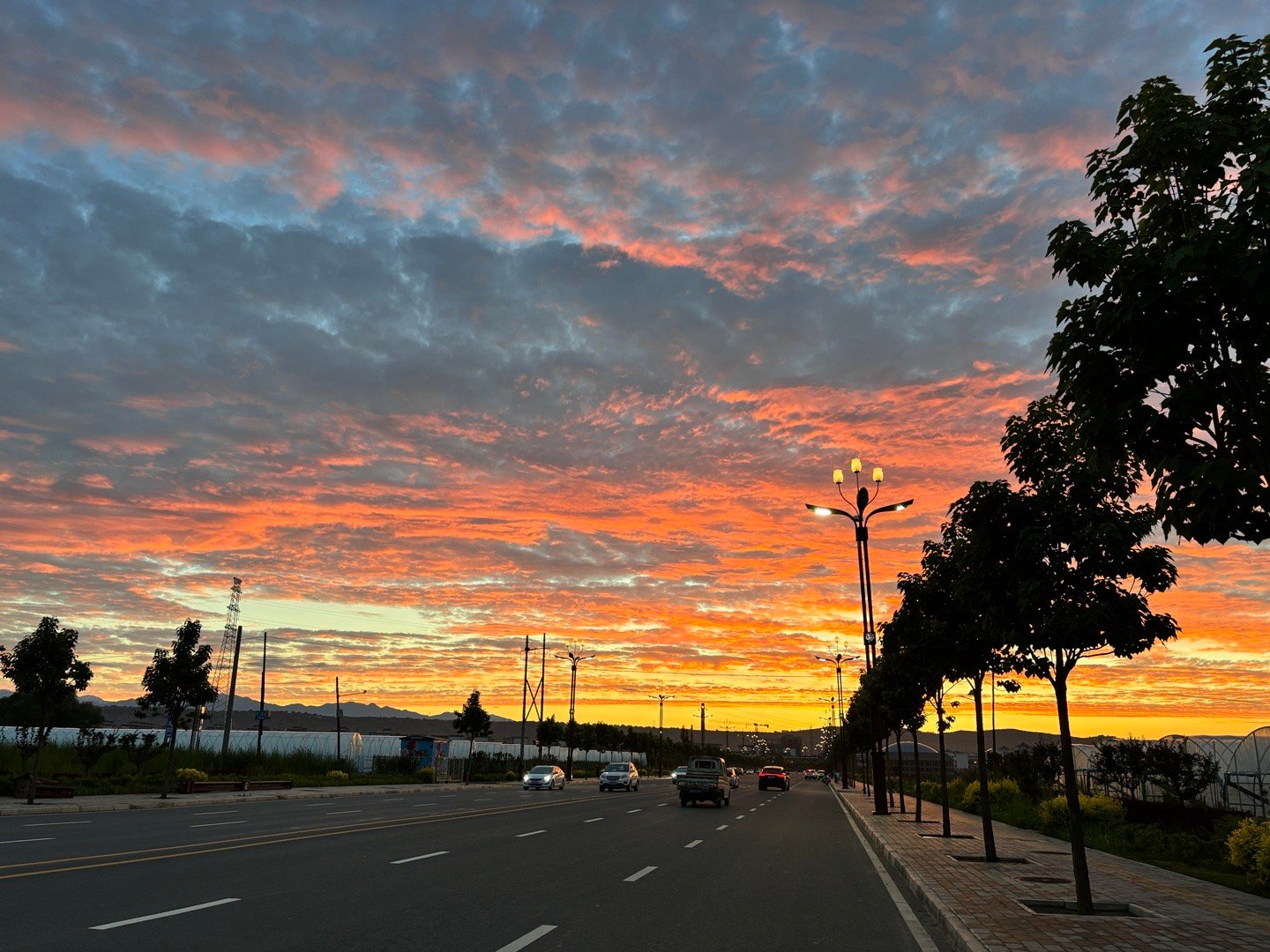 夕阳