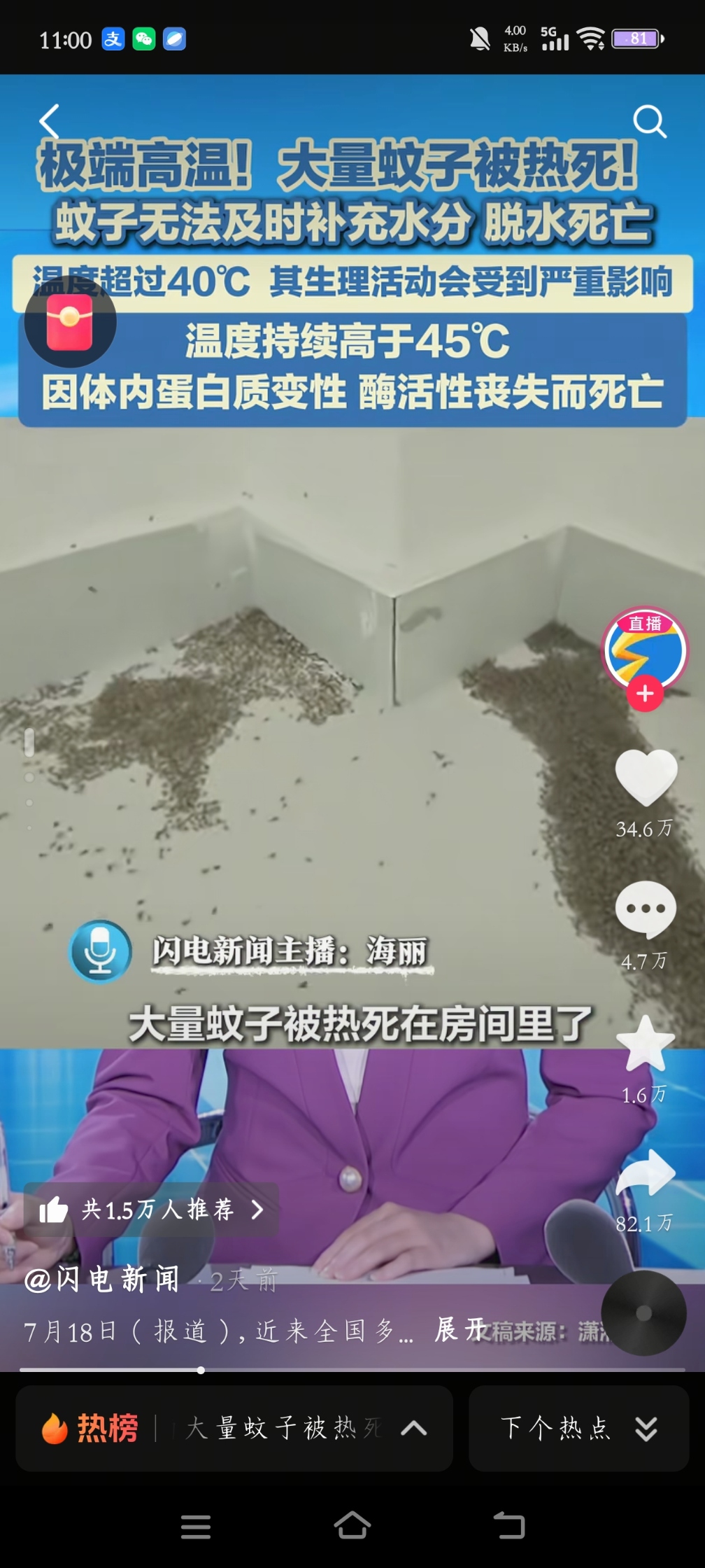 蚊子