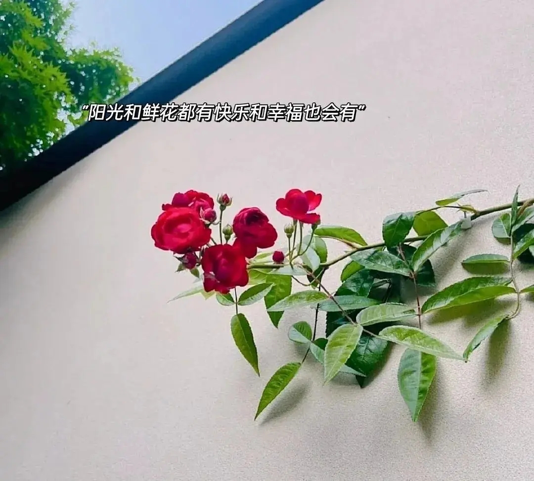 早安