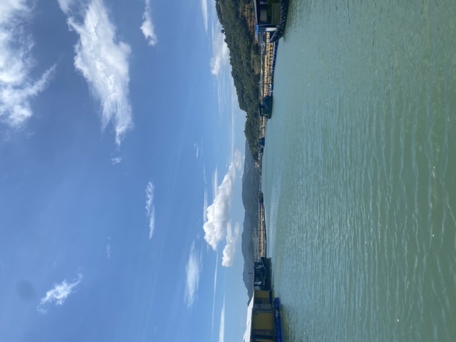 海上时光