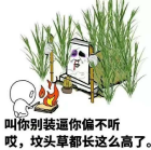 有事烧纸