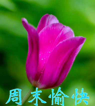 周末愉快!!!