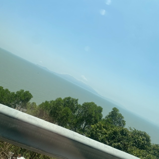 我去浪了，别想我