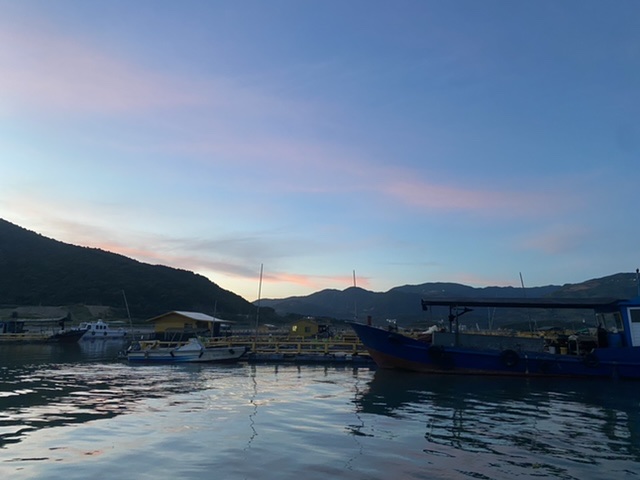 我本将心向明月