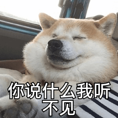 啥都没瞅到