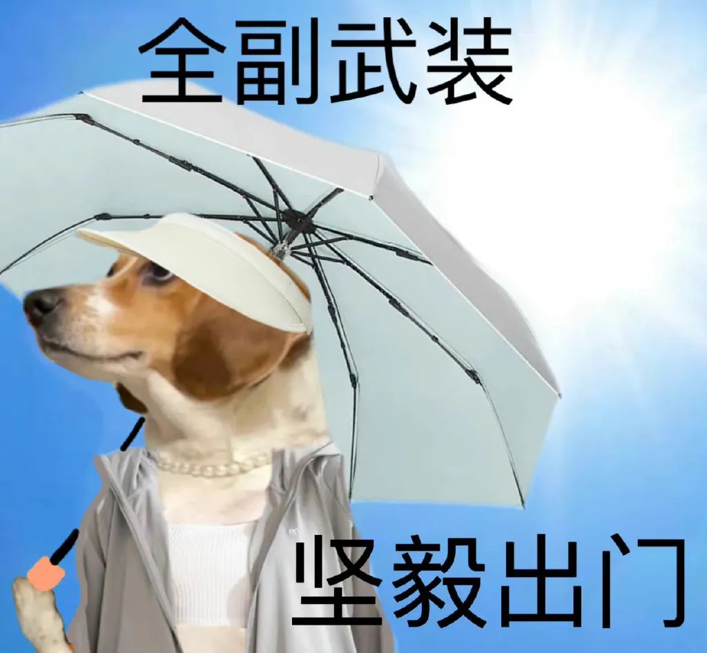 天选弃子，落地成盒{em=1252}