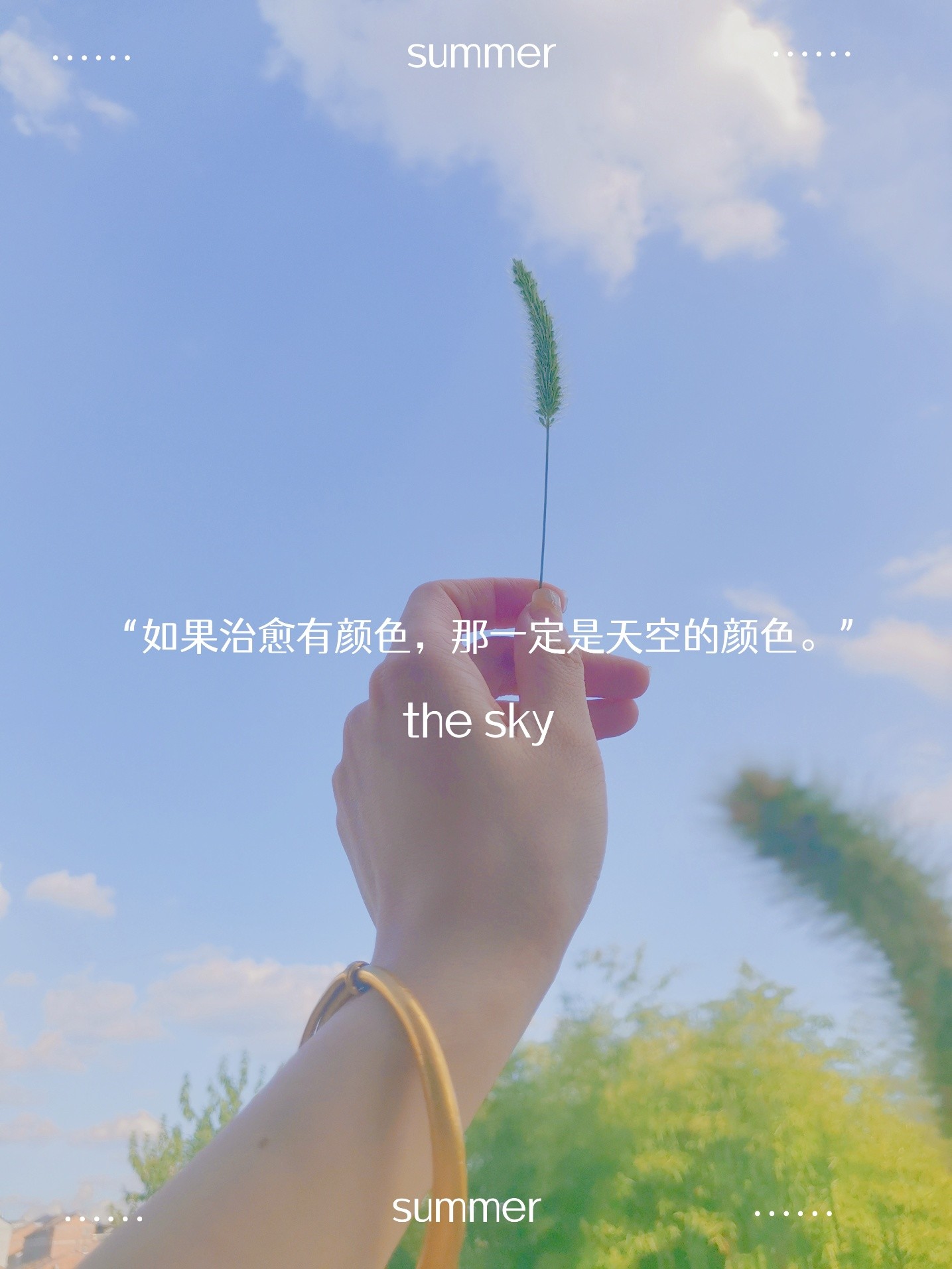 狗尾巴草很合拍