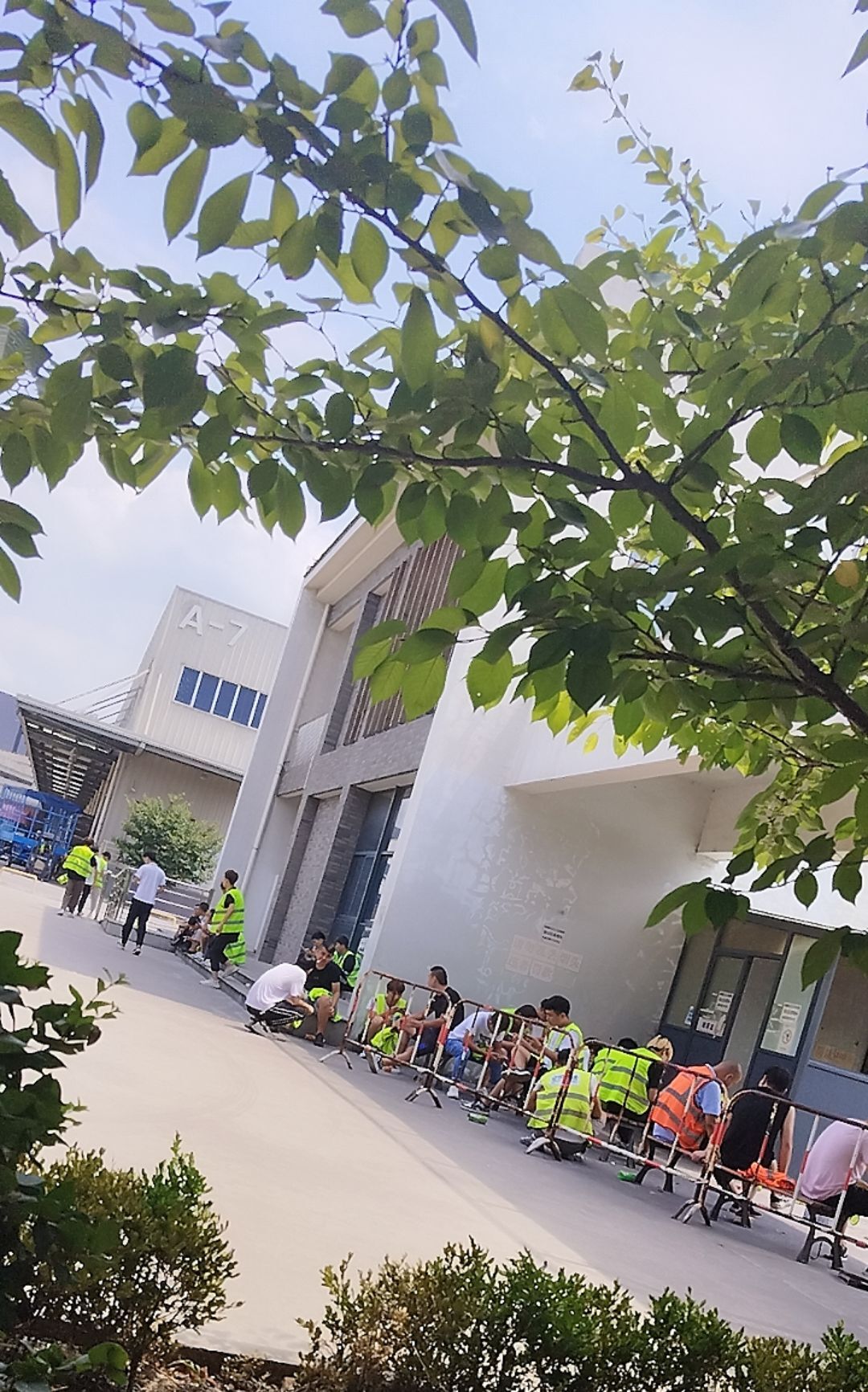 来看小哥哥