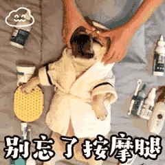 早安
