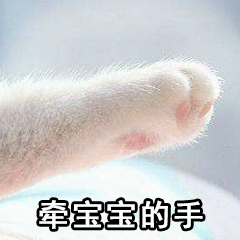 萌新有人认识吗