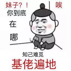 申请辞退基佬团长一职丶
