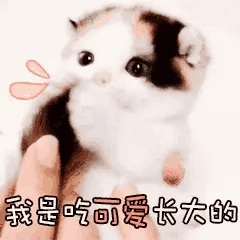 我呢我呢