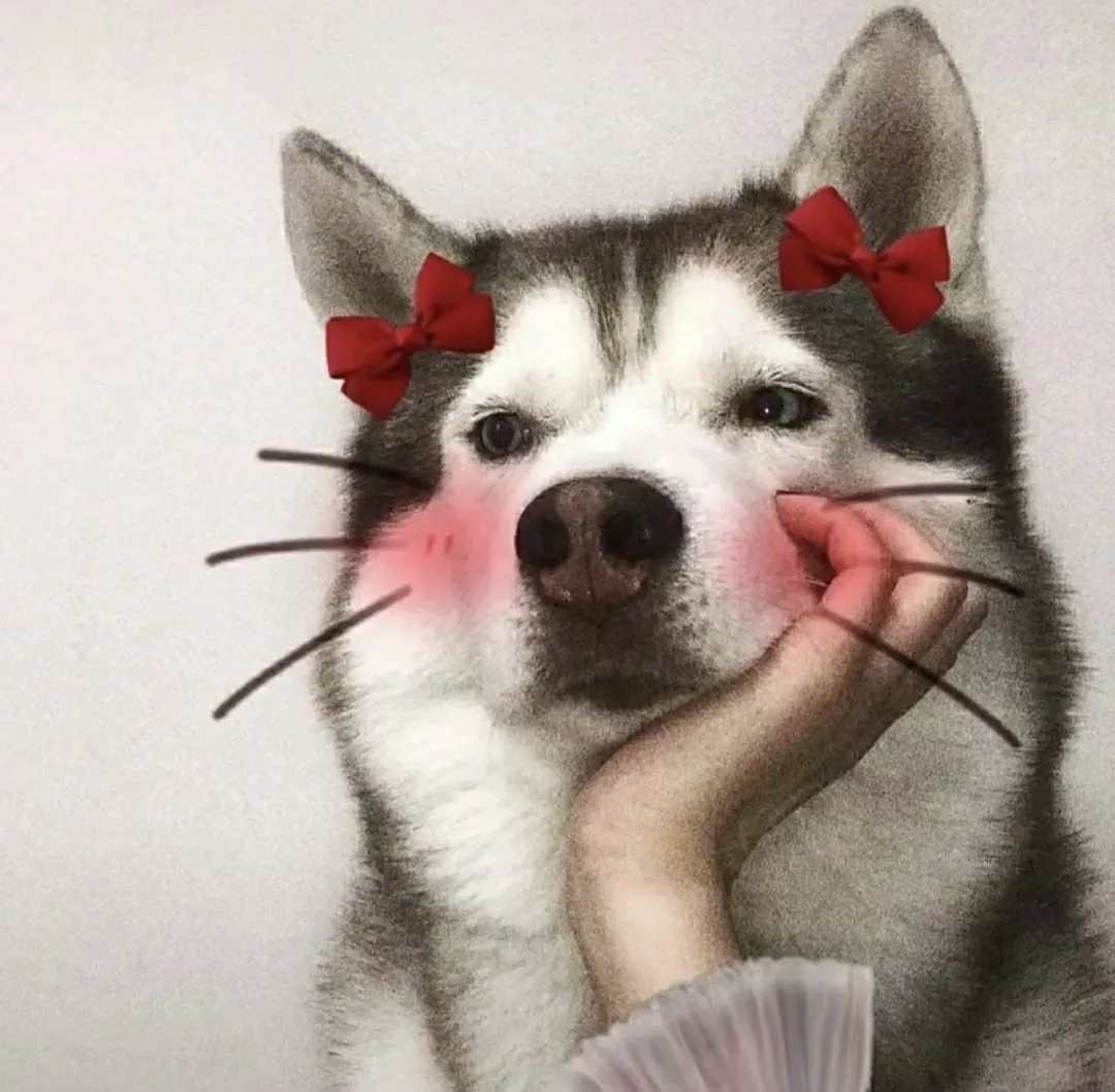 很怀念三妹一个月过一次生日那段时光