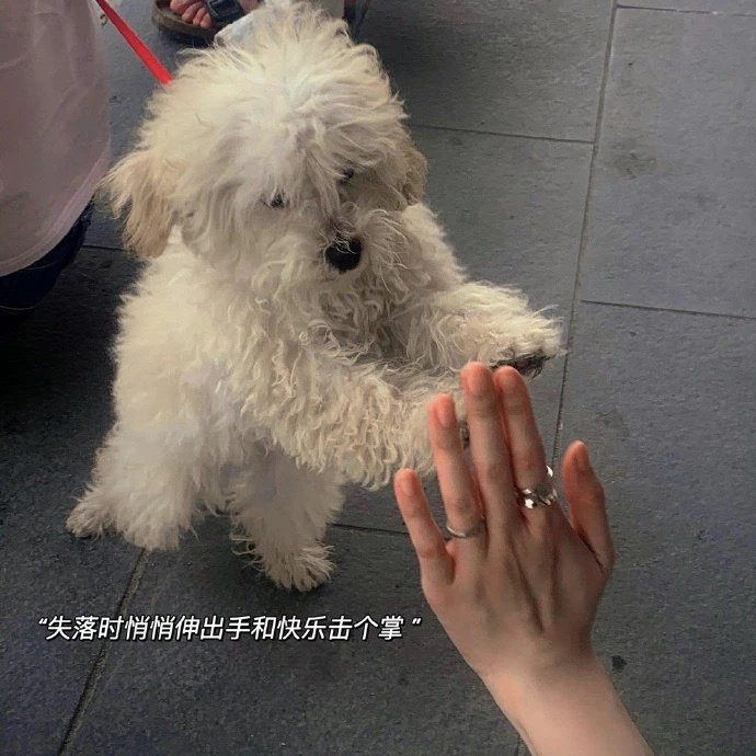 50408+顾美男+一句话送自己