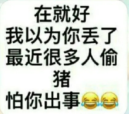 狗子，你不搬砖了嘛