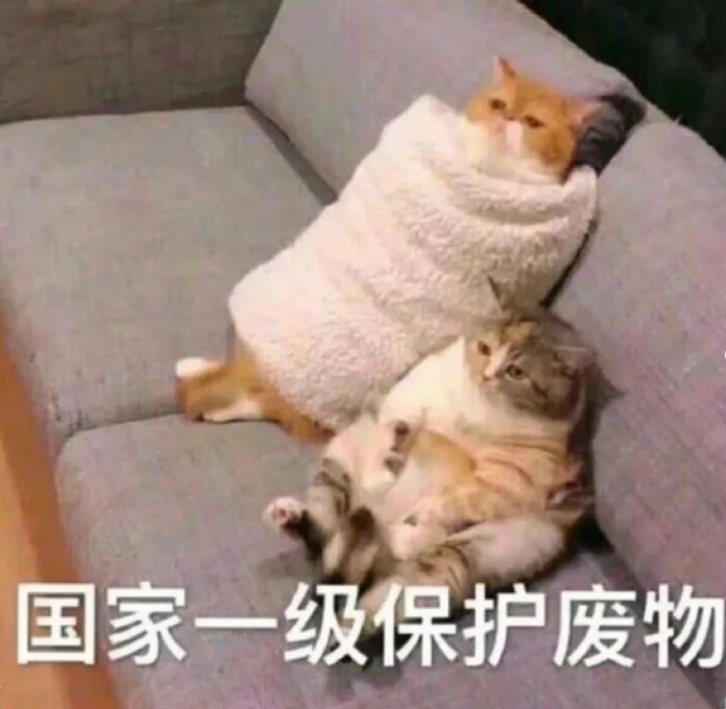嬷嬷聊天专用车