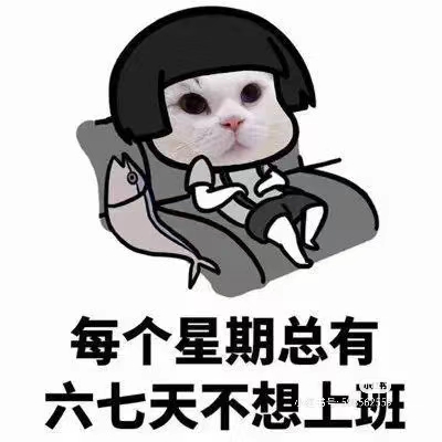 　　摸鱼呀　゛　