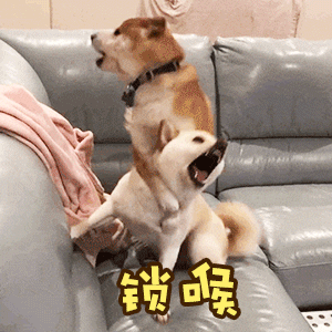挺好