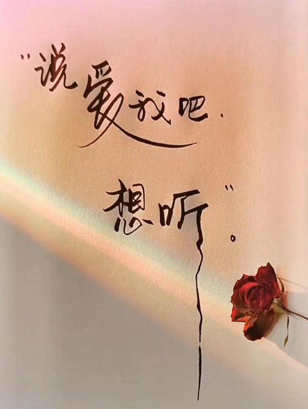 宝子们～早上好呀～～