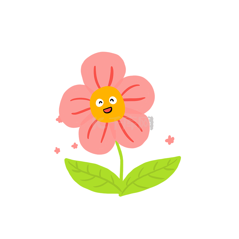 小花花