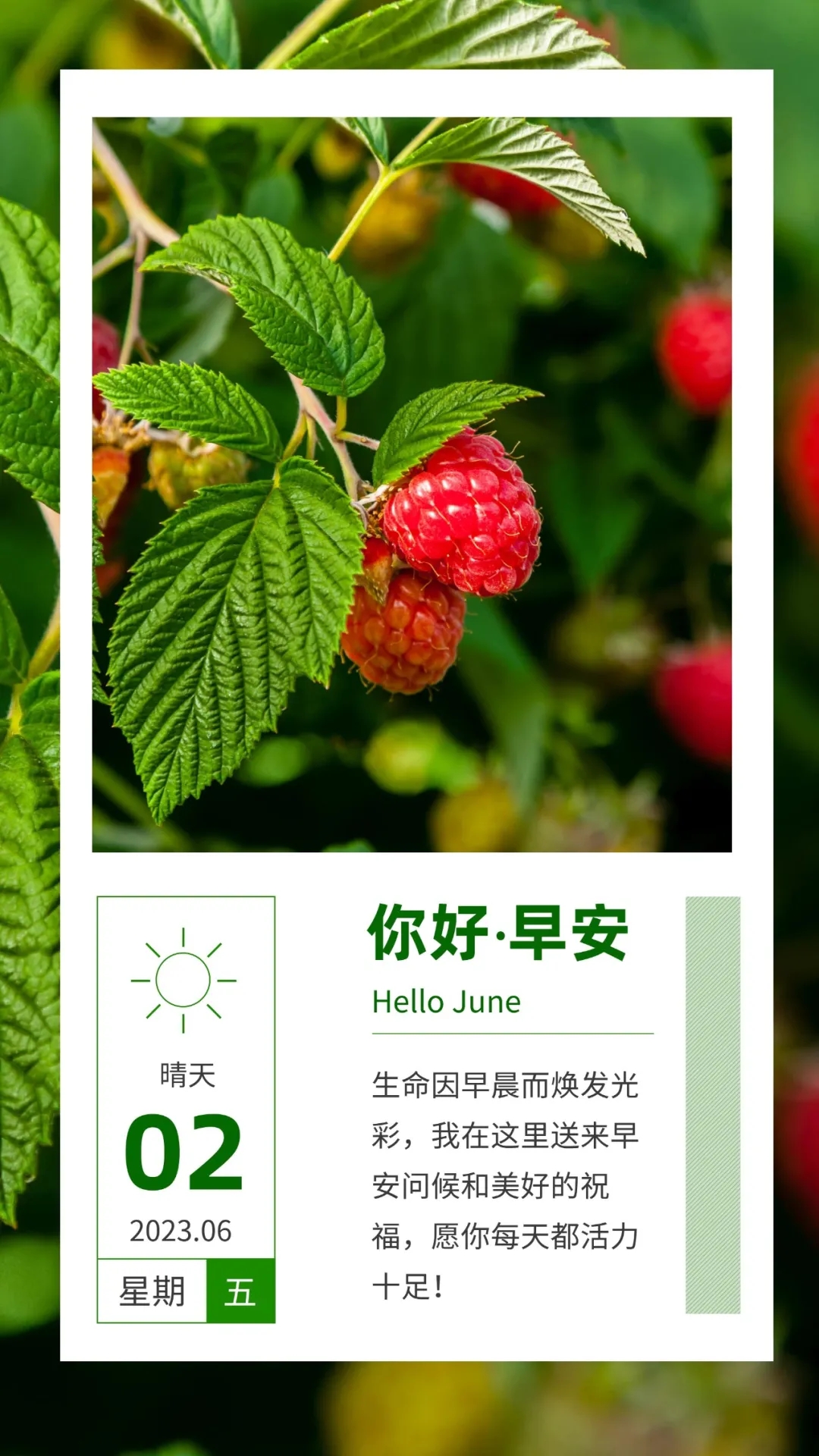 早安