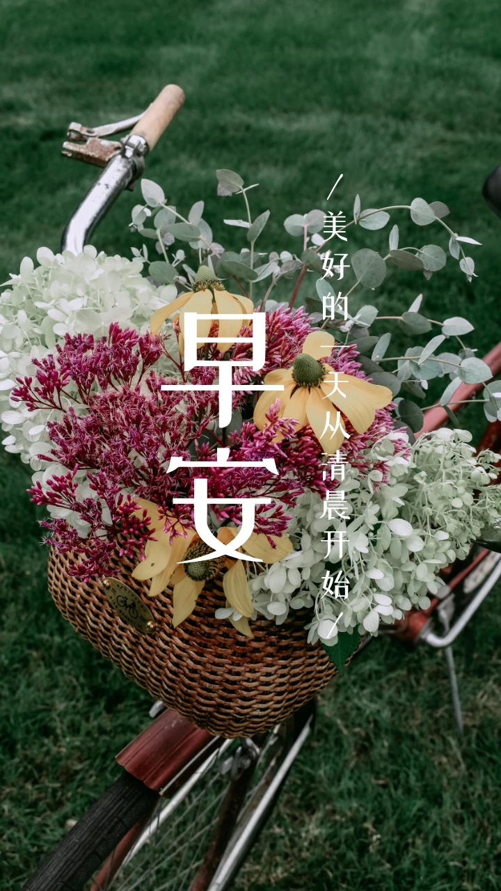 早安