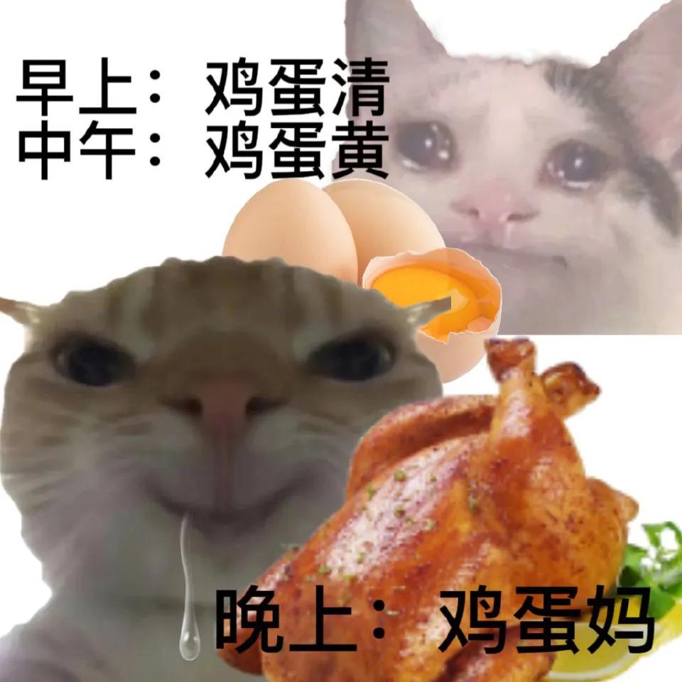 吃饱减肥