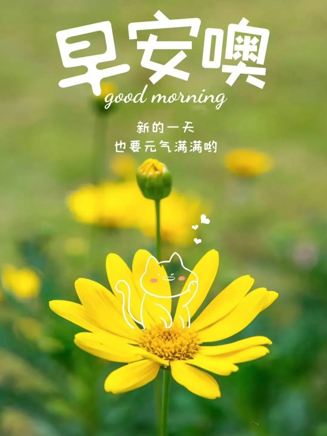 早