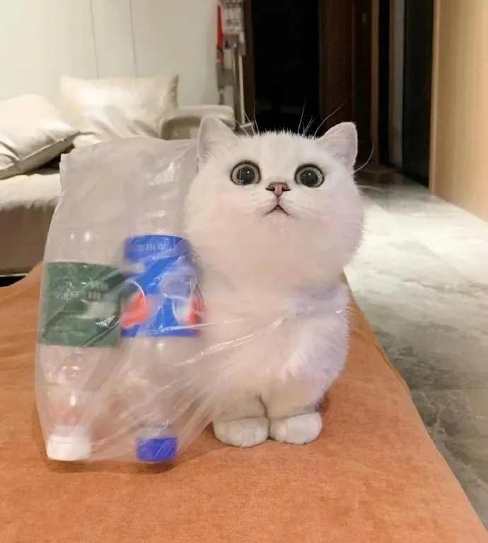 晚安