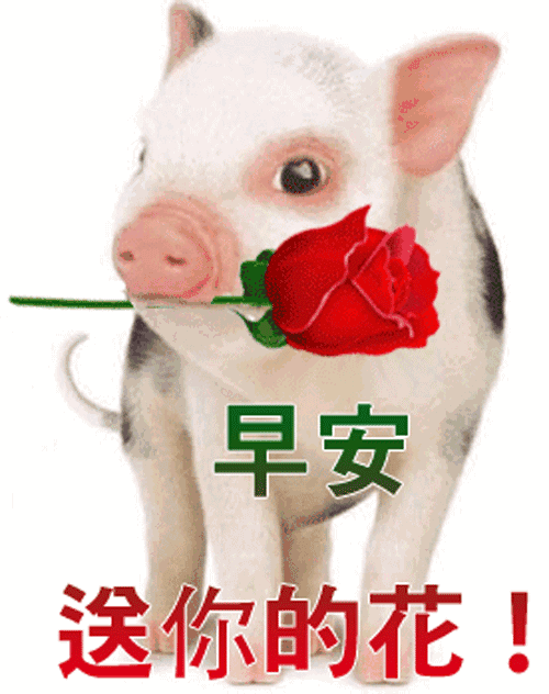 早安