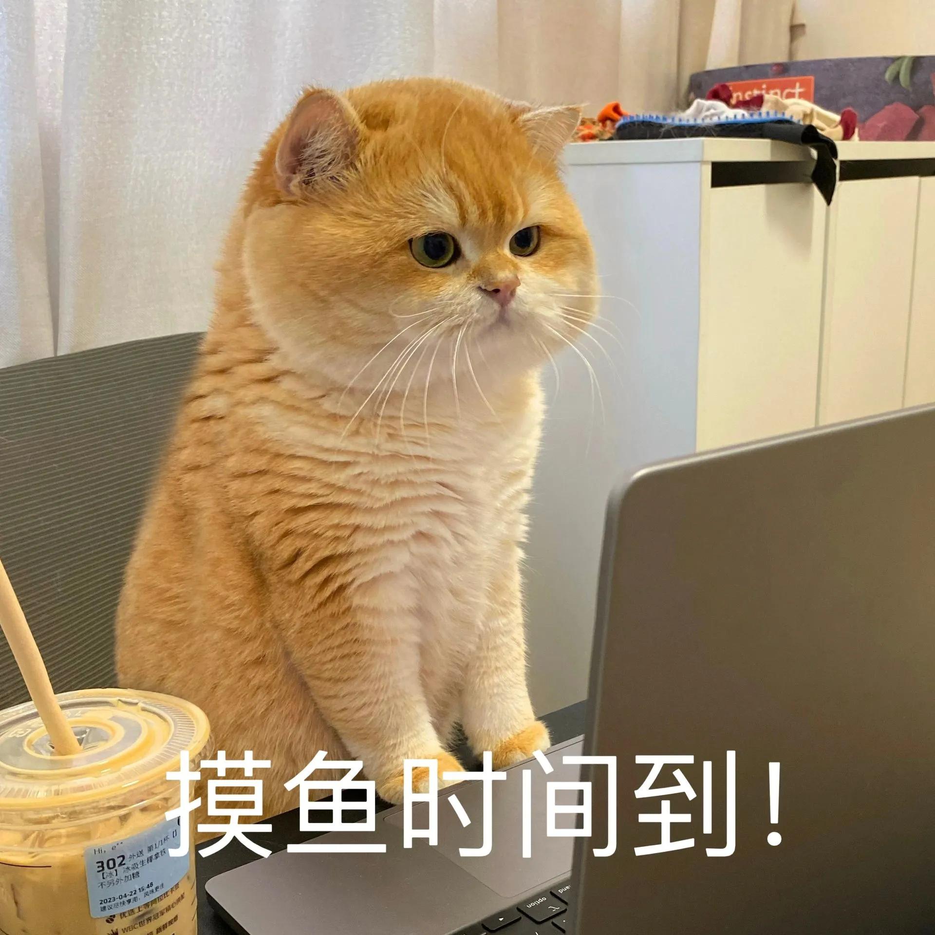 先和解的人