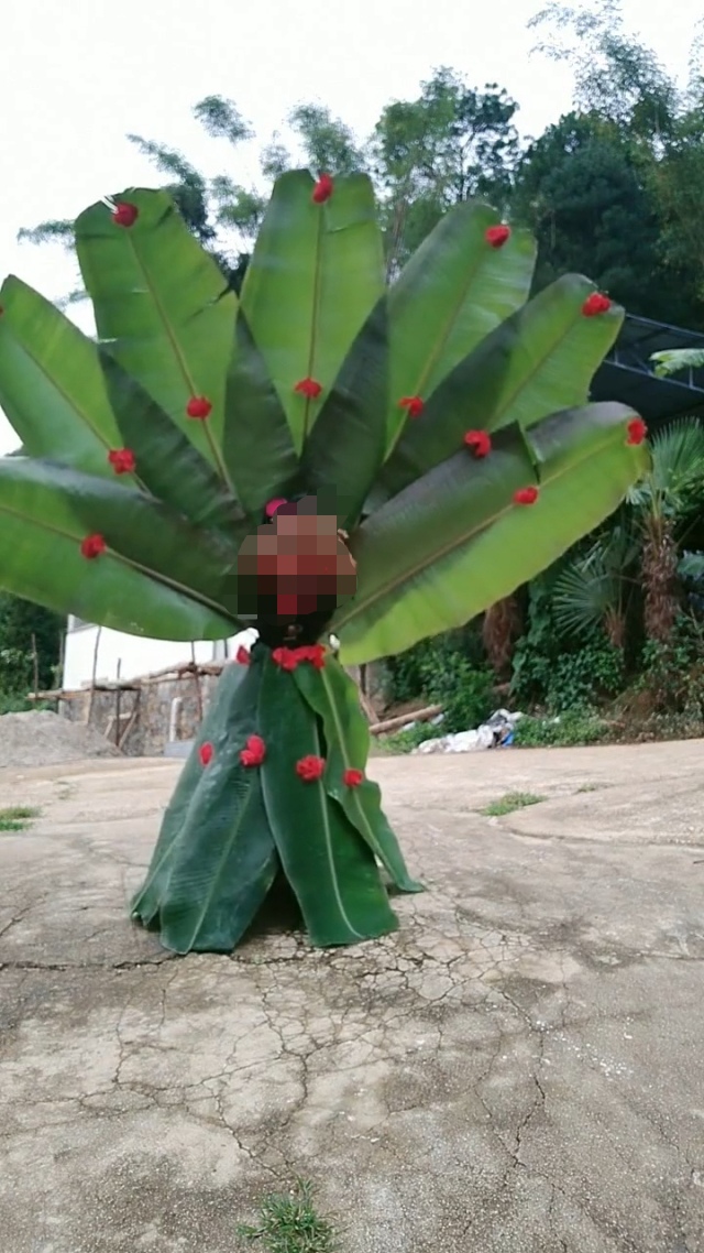 慕无苏+夏日穿搭