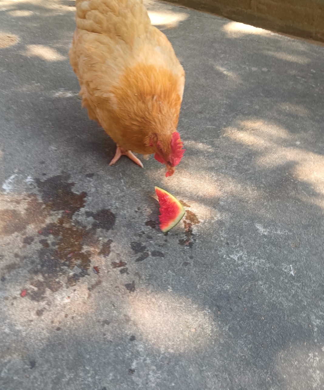 好热