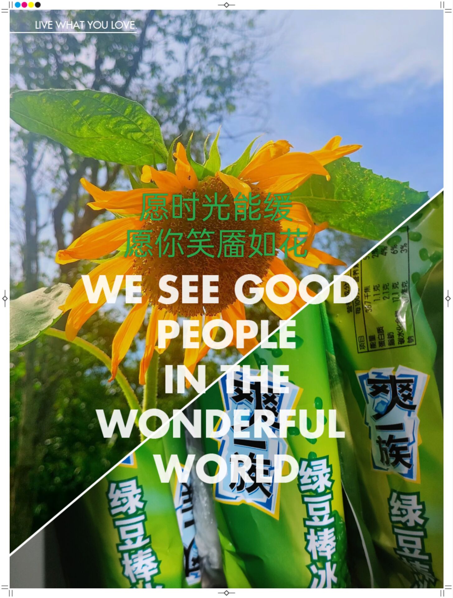 小鸽子+今天吃什么+7.16