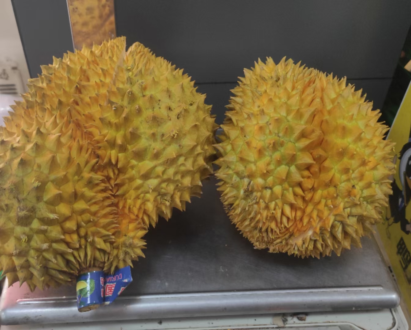 陈辞+今天吃什么+7.21