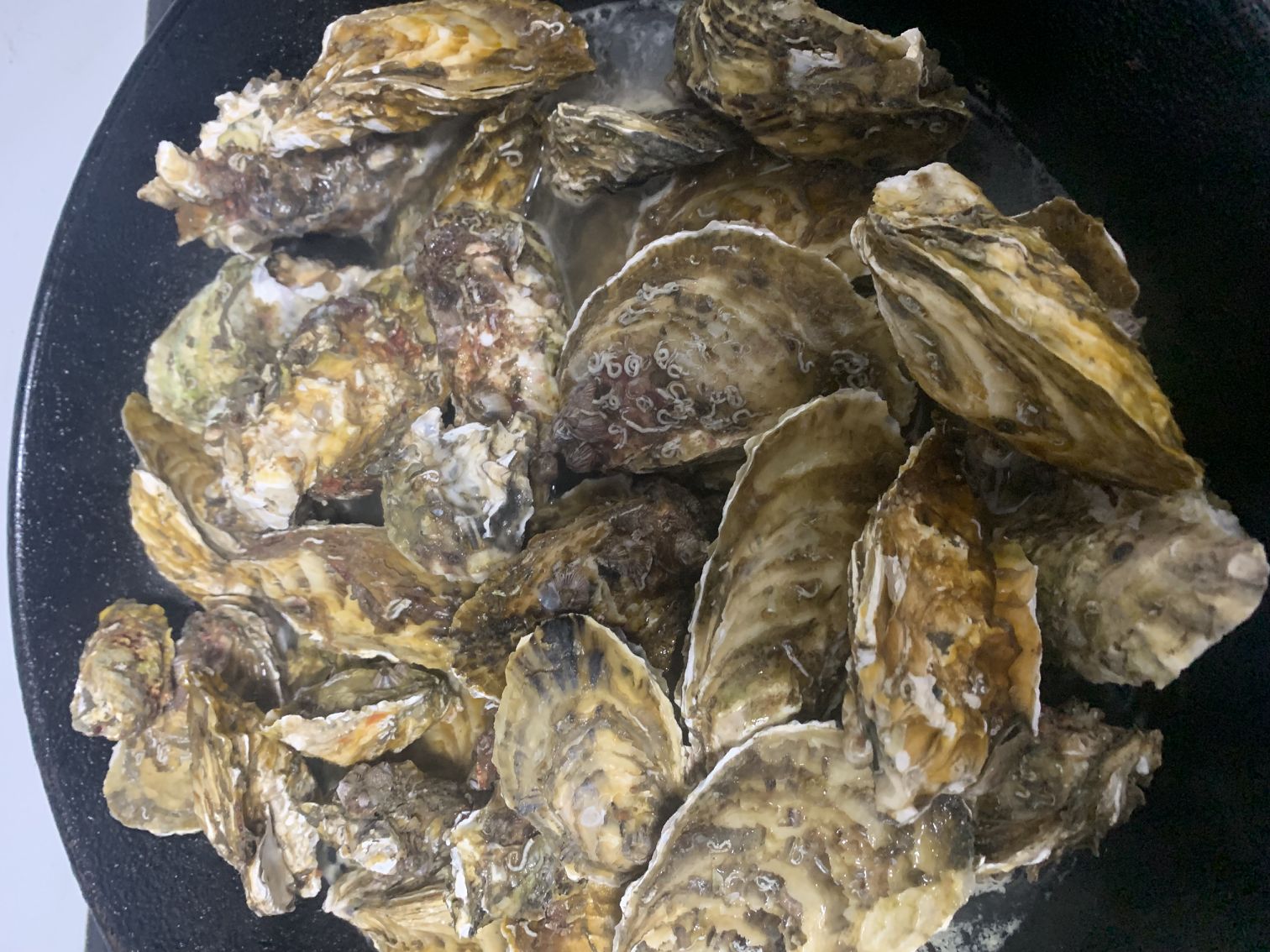 君墨凌+今天吃什么+7.25