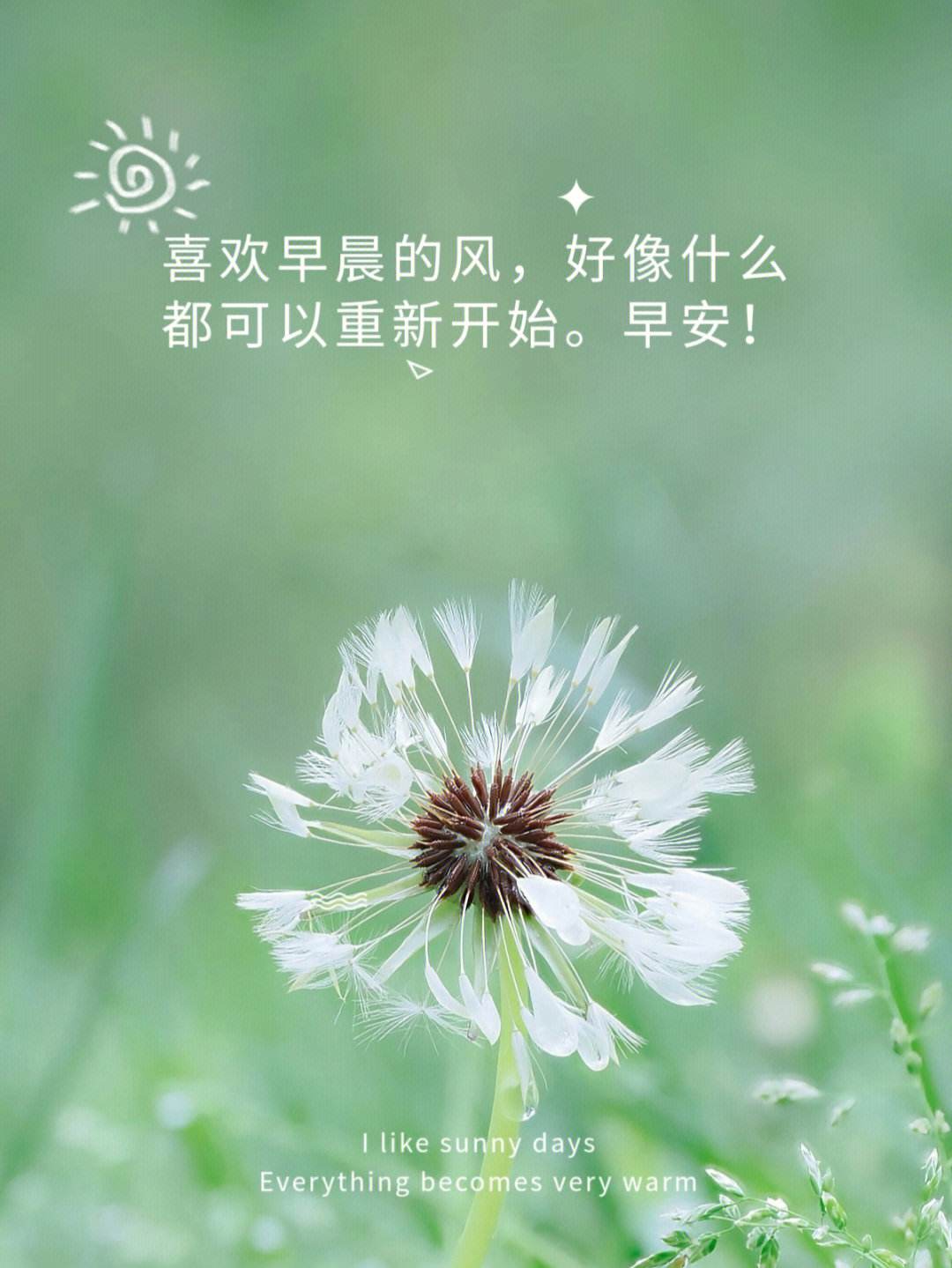早安