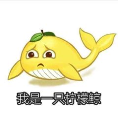 柠檬鲸上线……